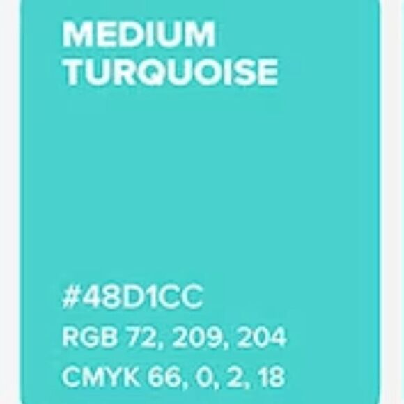 GAP Women's XL Aqua Glaze Sleeveless Knot Tank Top, NWT - Picture 9 of 9